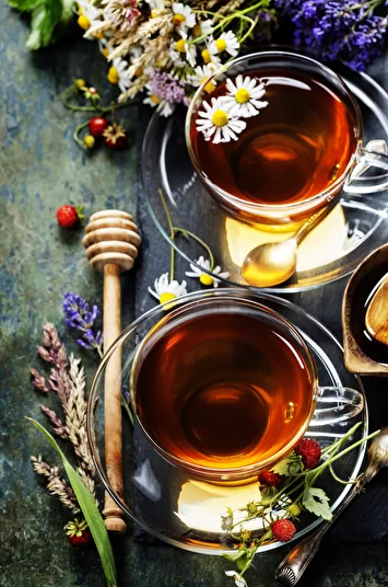 [Ирина Гудаева] Чайные травы и травяные чаи (1.06._0.png